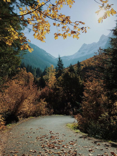 Олег Грушевский