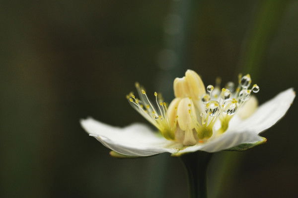 Лилия Исмагилова