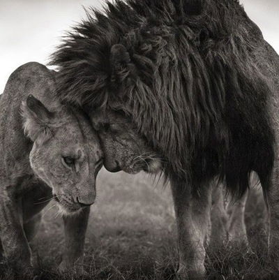 Серёга Батькович