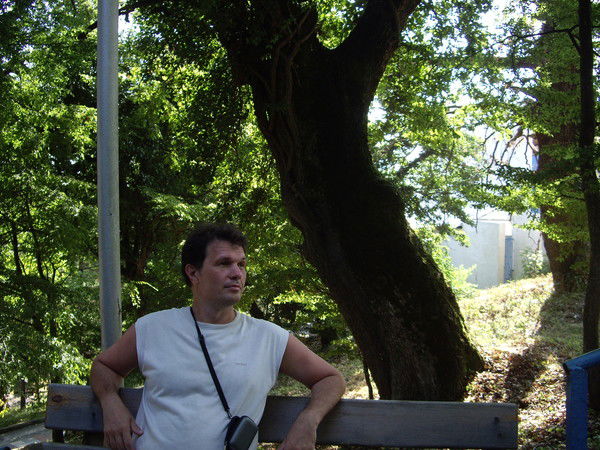 Михаил Носков