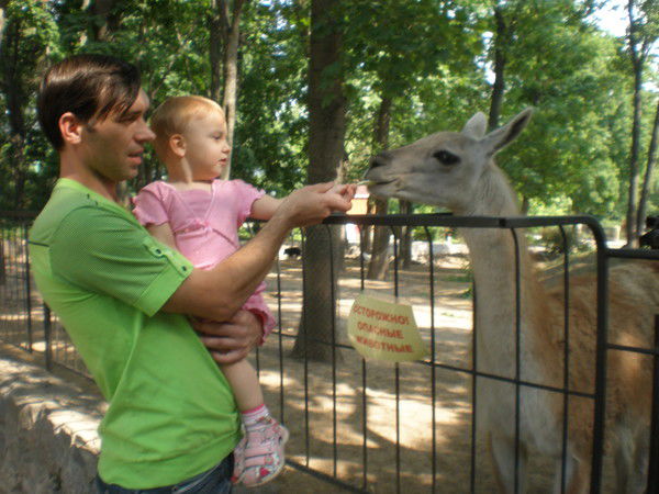 Алексей Горшков