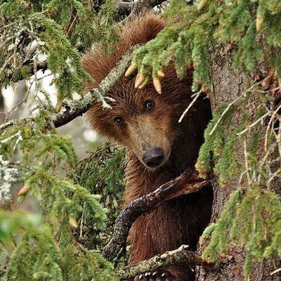 Олег Мишаков