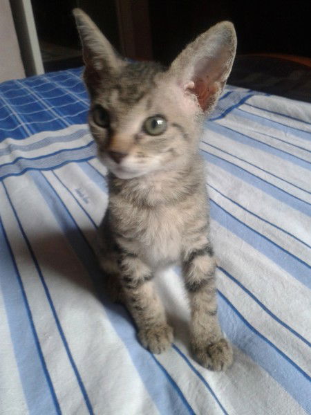 Любовь Соловьева