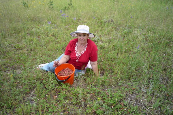 Галина Белова