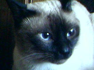 Нет Данных Нет Данных