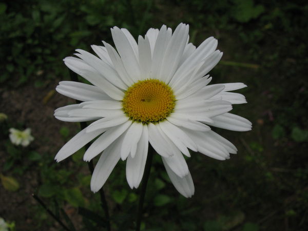 Татьяна Лисничук