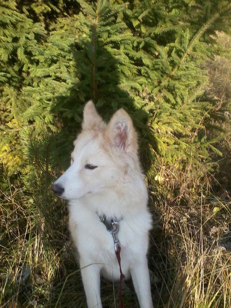 Валерия Башлык