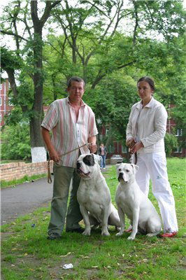 Елена Поддубная