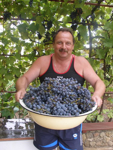 Aндрей Сильверстов