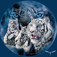 Надя Матвеева