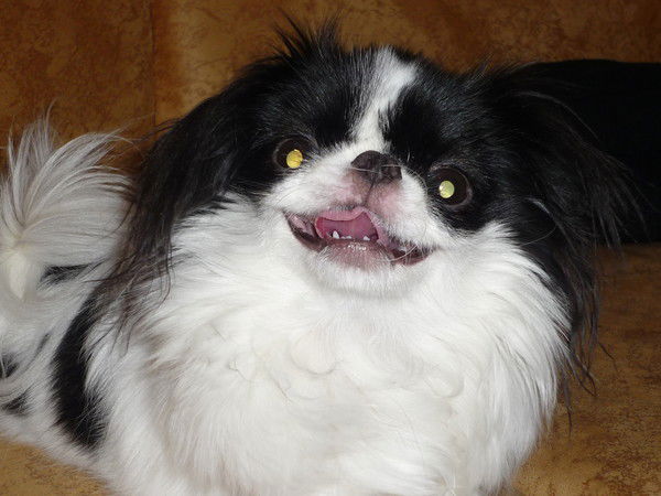 Ната Бобылева