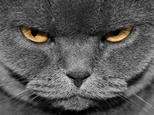 Лилия Яковлева