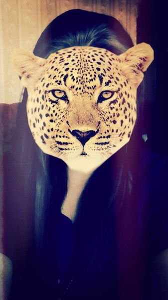 Анастасия Кузнецова