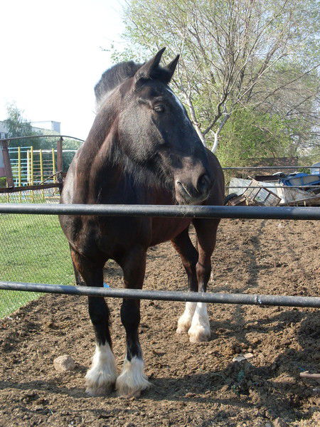Рустам Мунжасаров