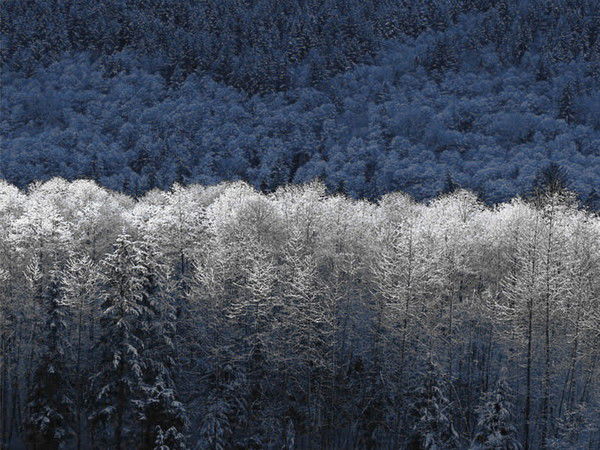 Кирилл Полежаев