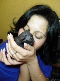 Евгения Антипина