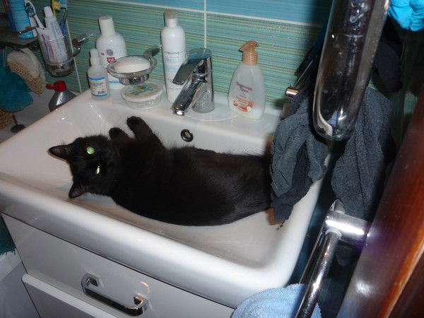 Светлана Винникова