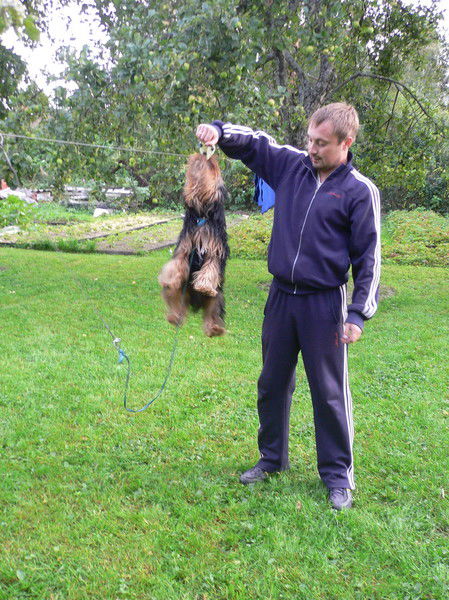 Андрей Андрей