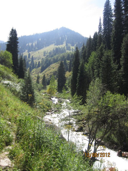 Наталья Белоусова