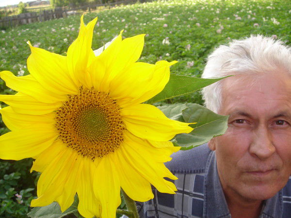 Николай Порозов