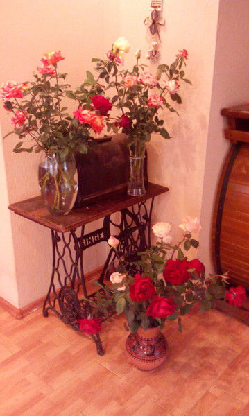 Маришка Ефимова