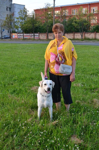 Нина Бровина