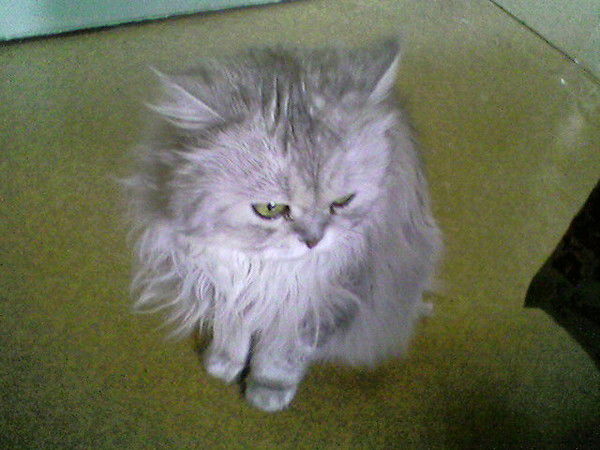 Саркыта Тинибаева