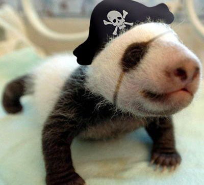 Сергей Лазарев