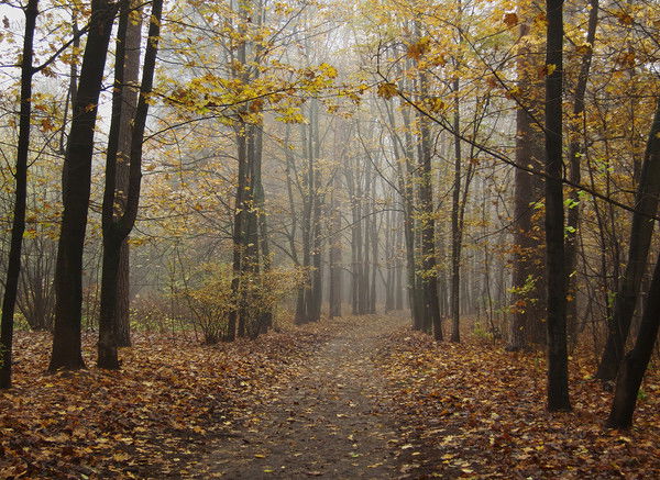 Мастерпласт *******