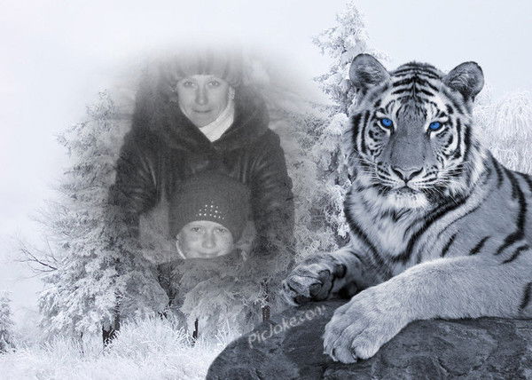 Лилия Цыбамирошниченко