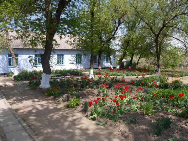 Мария Табакарь