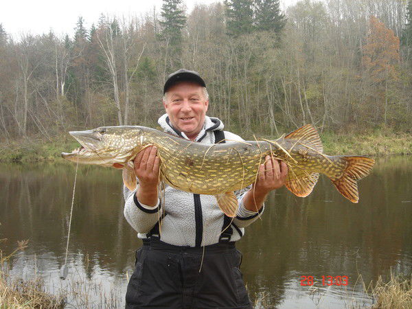 Василий Салюк