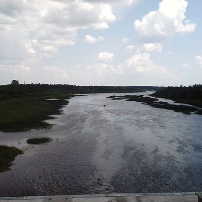 Дмитрий Кашин