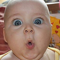 Сергей Звержевич