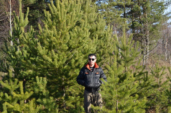 Алексей Костарев