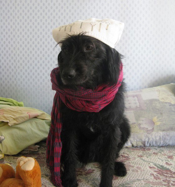 Анна Марчук