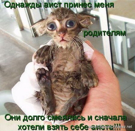 Татьяна Климонтова