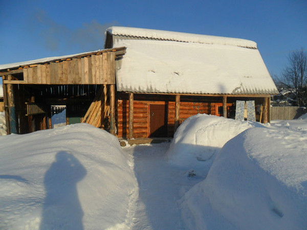 Нина Борисик