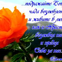 Оксанчик Н