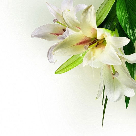 Лилия Гумарова