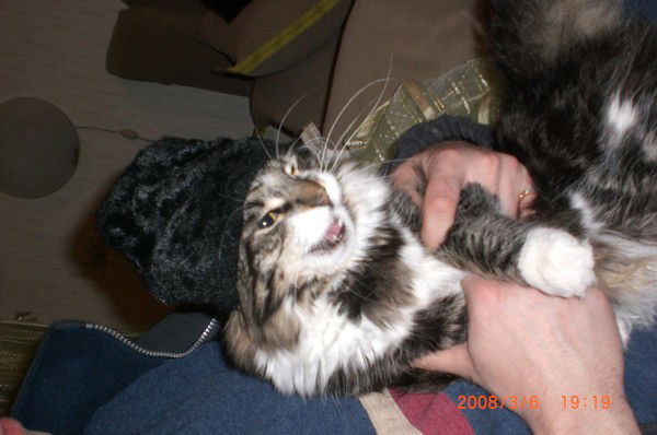 Виктор Туйнов