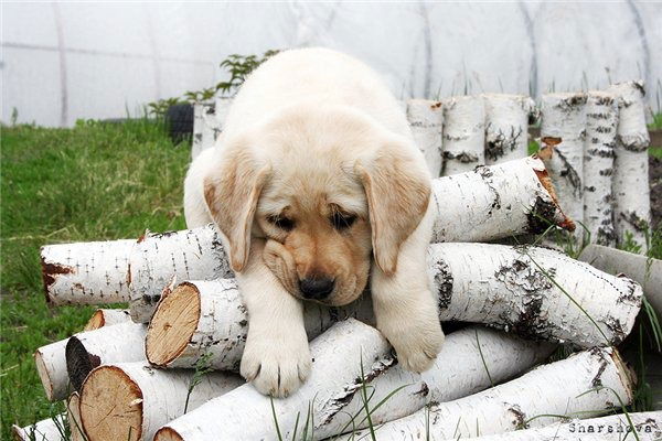 Катерина Урецкая