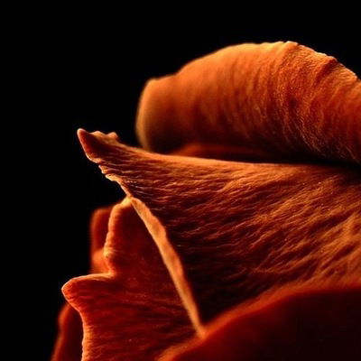 Мария Грушникова