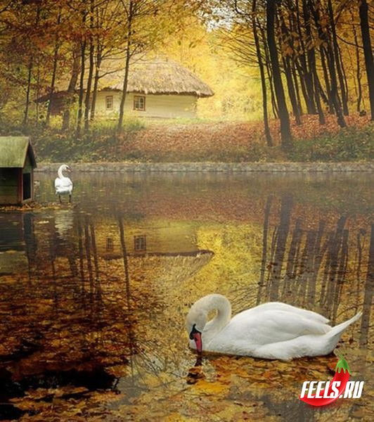 Эльвира Рахматуллина