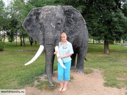 Галина Шефер