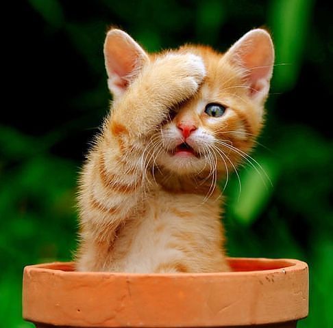 Олег Татаренко