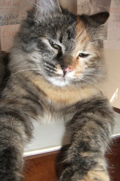 Guncha Ishankuliyeva