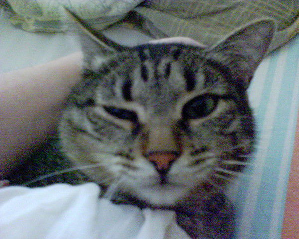 Александр Кознов