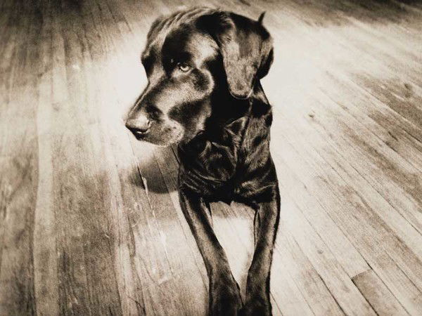 Сергей Григорян