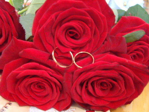 Аида Гогичаева